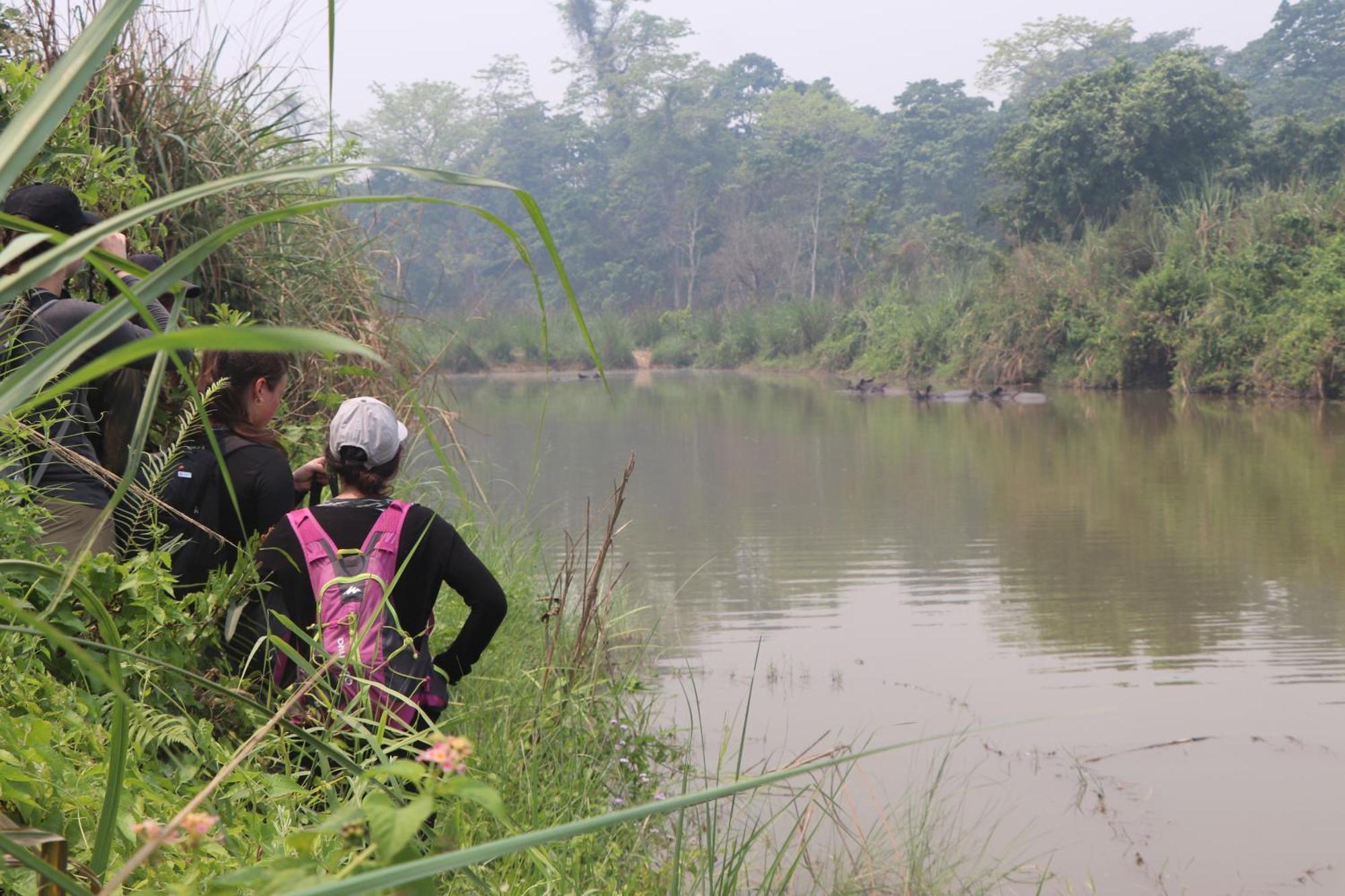 Hotel Flycatcher Chitwan- A Jungle Safari Home ソーラハ エクステリア 写真