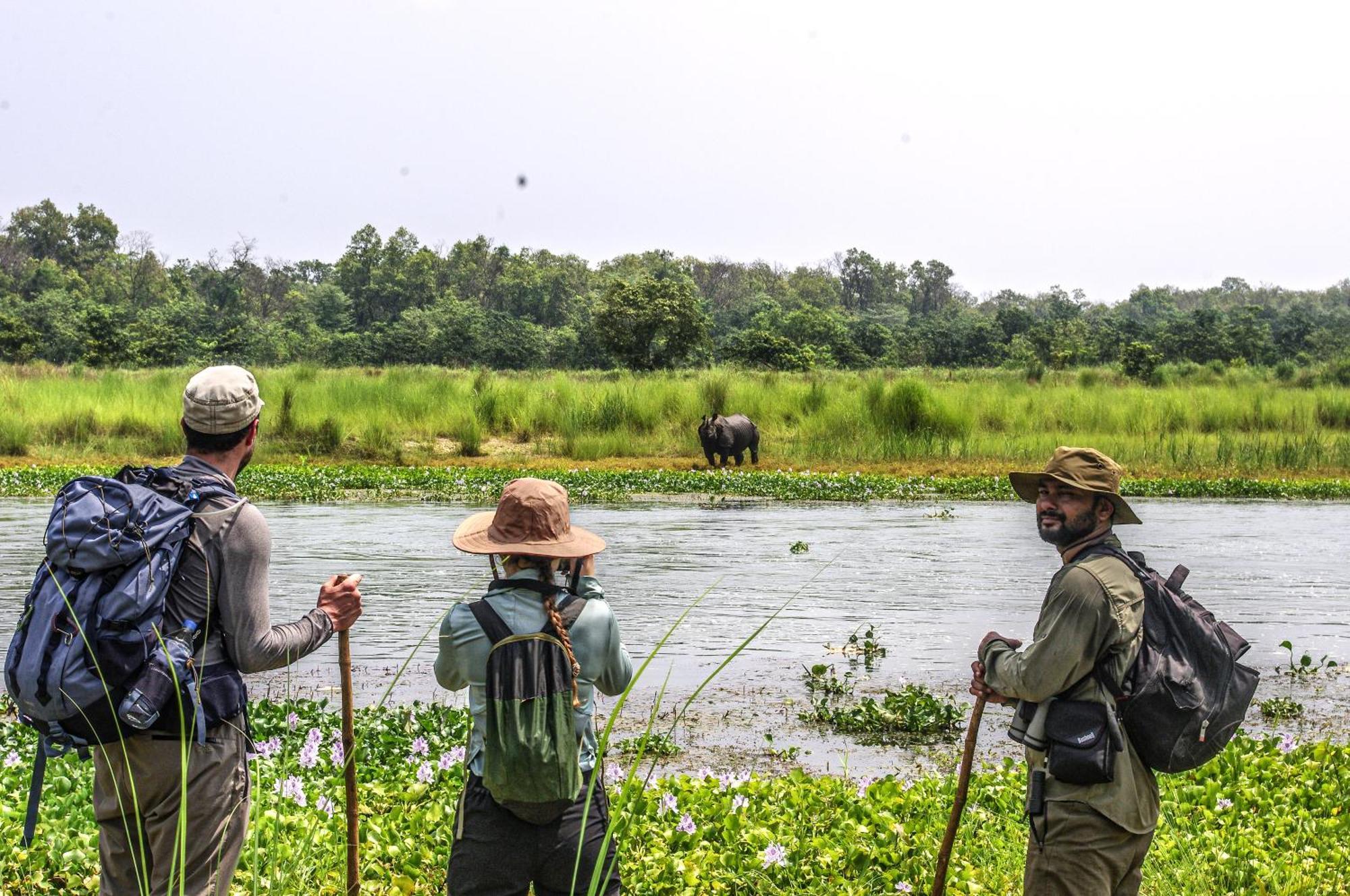 Hotel Flycatcher Chitwan- A Jungle Safari Home ソーラハ エクステリア 写真